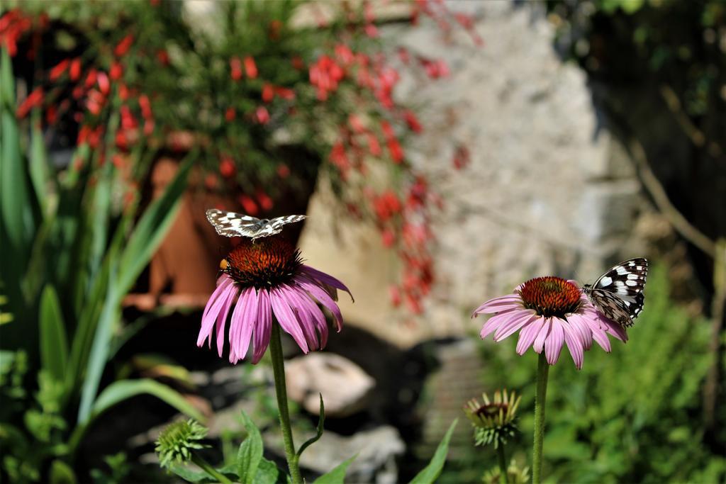Alle Torricelle Farm stay *